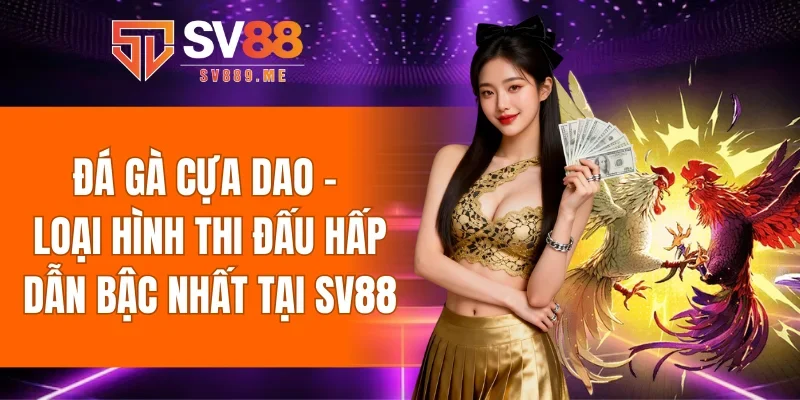 đá gà cựa dao